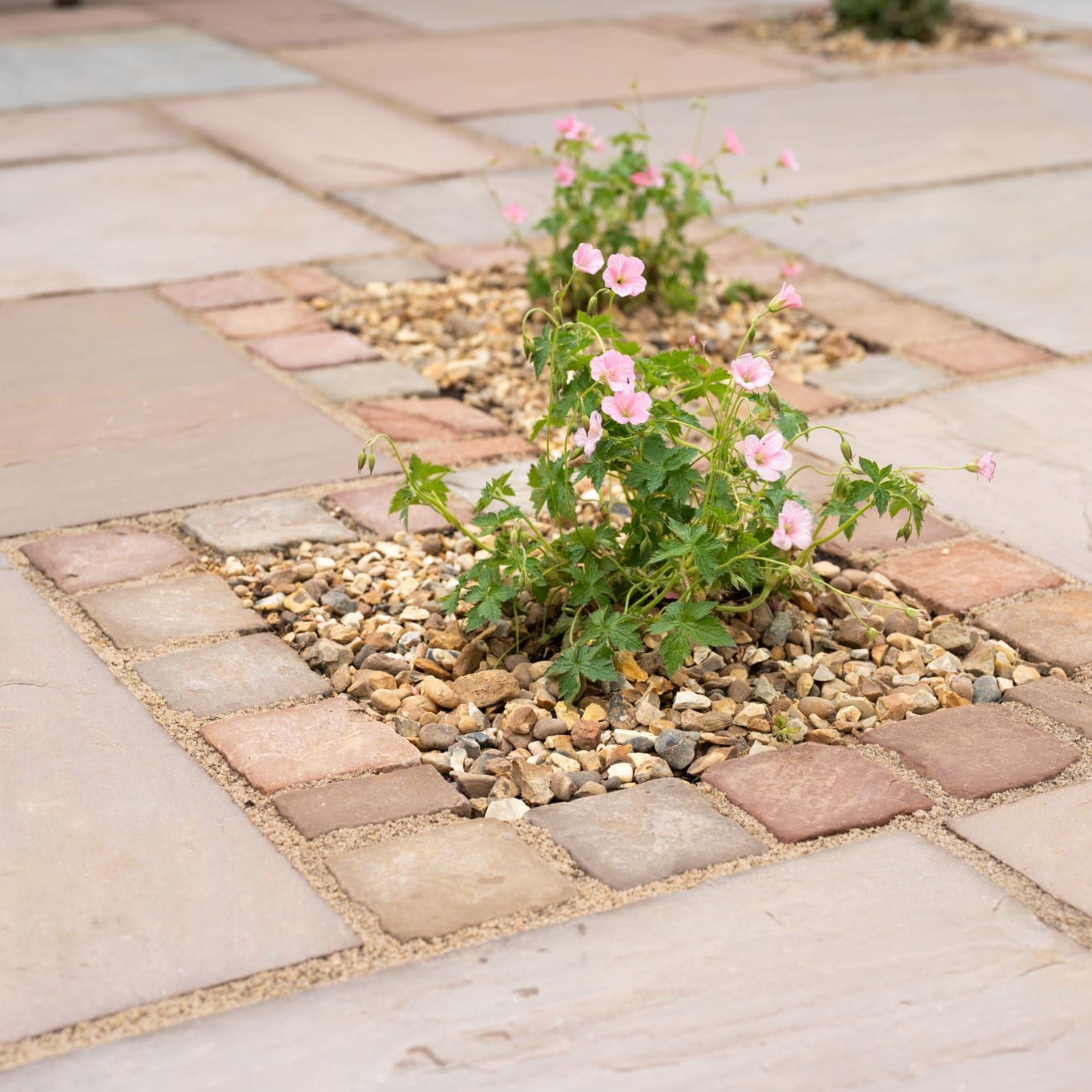 Meadow Sandstone Cobbles - Image 6